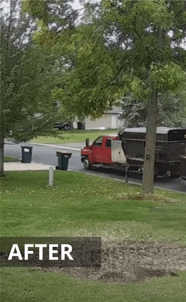 Tree Removal Wollongong Tree Loppers Wollongong & Illawarra